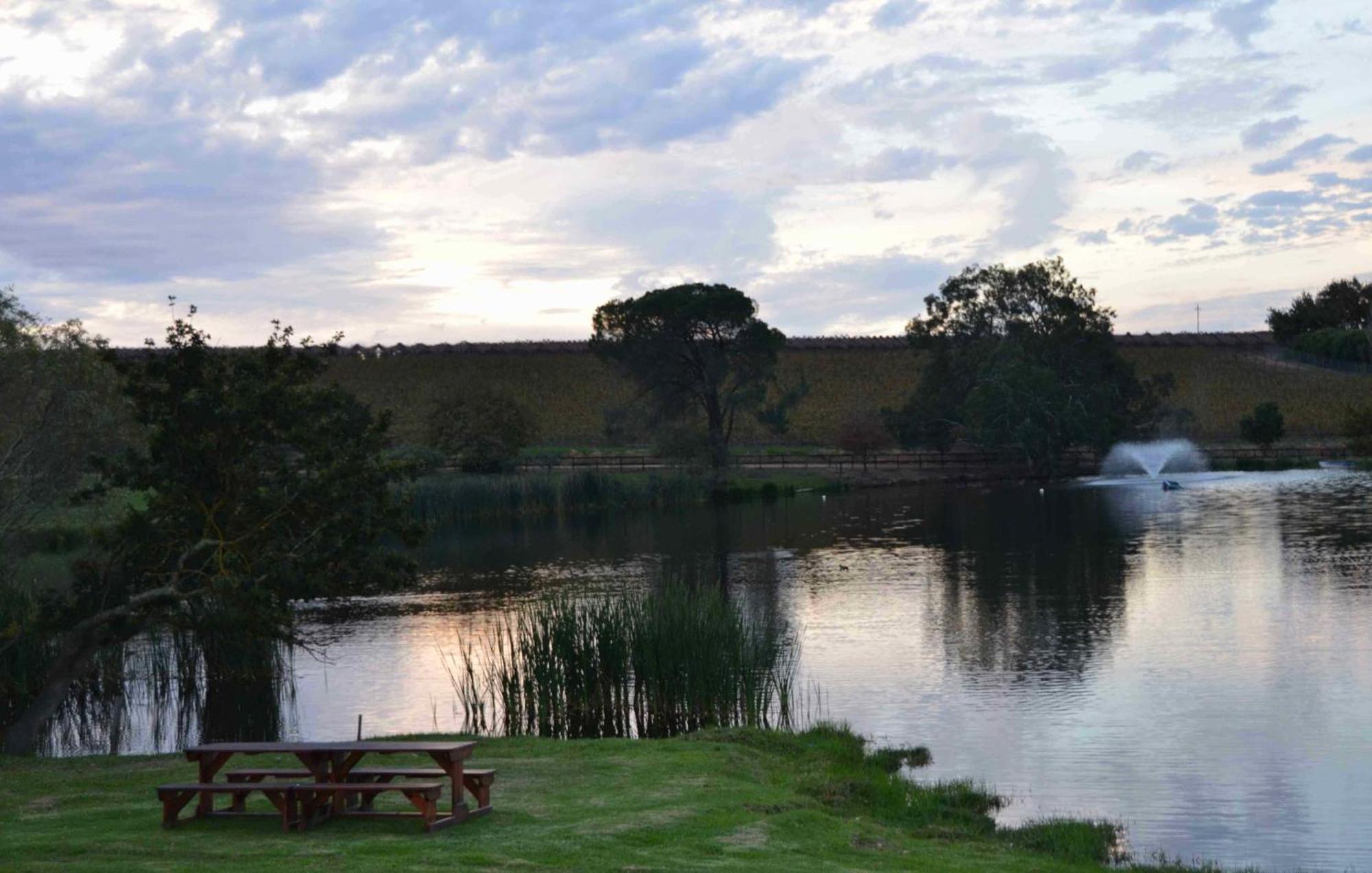Under Oaks Guesthouse Paarl Room photo